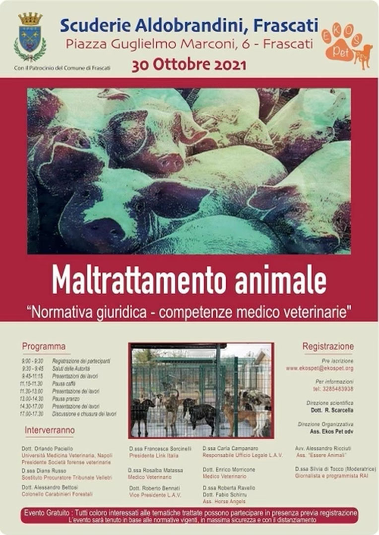 Clinica Forense